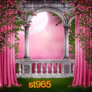5'x8' ST965